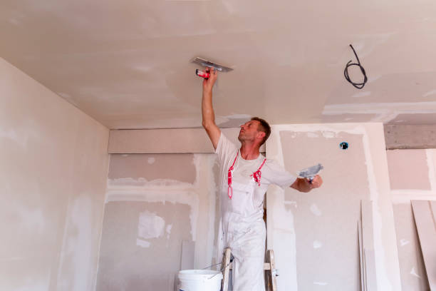 Best Wallpaper Removal and Painting  in Williston, FL