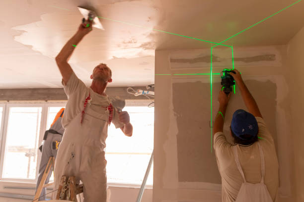 Best Ceiling Drywall Installation  in Williston, FL