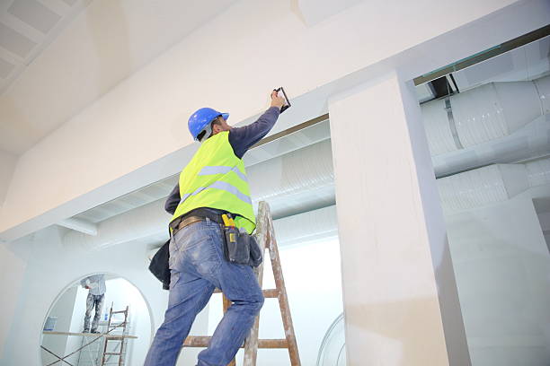 Best Drywall Installation  in Williston, FL